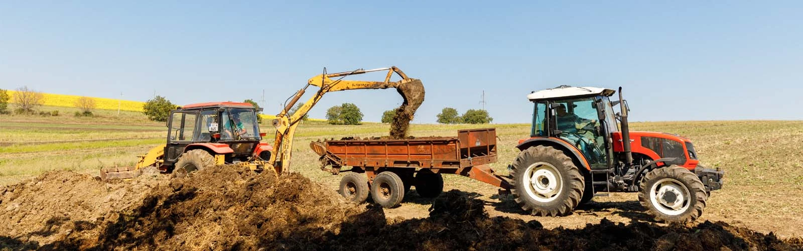 Integrating Tractors into Organic Farming Systems in Gambia